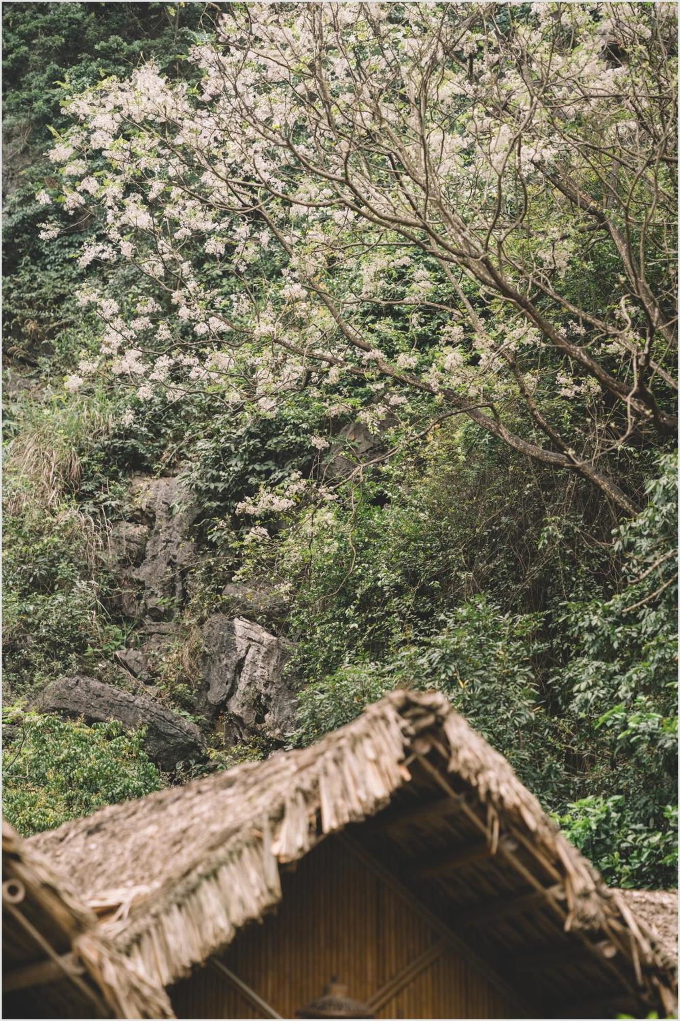 Apartamento Trang An Mountain House Ninh Binh Exterior foto